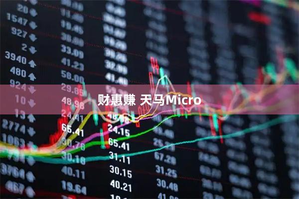 财惠赚 天马Micro