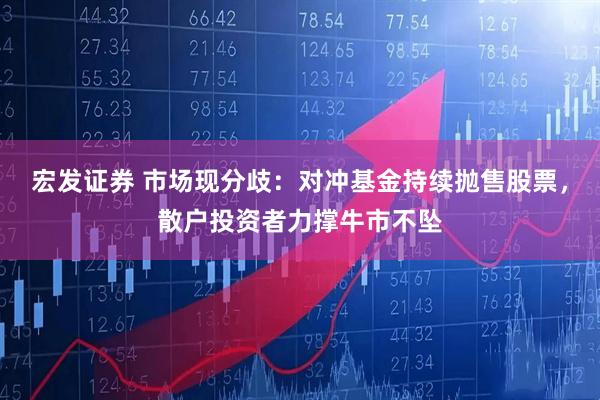宏发证券 市场现分歧：对冲基金持续抛售股票，散户投资者力撑牛市不坠