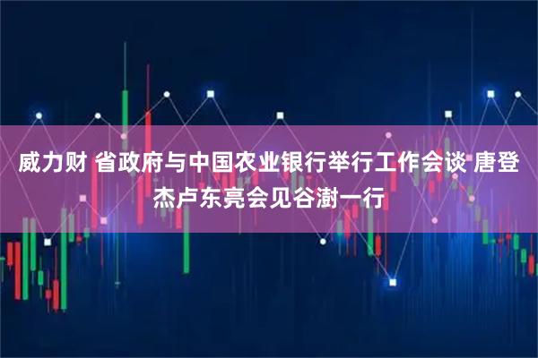 威力财 省政府与中国农业银行举行工作会谈 唐登杰卢东亮会见谷澍一行
