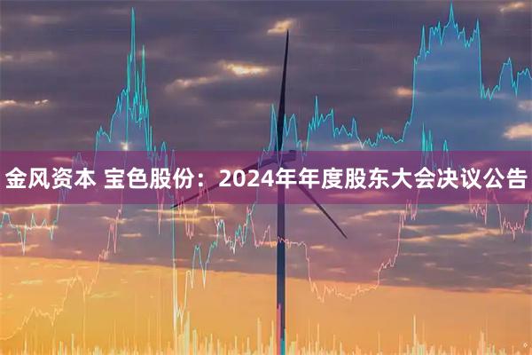 金风资本 宝色股份：2024年年度股东大会决议公告