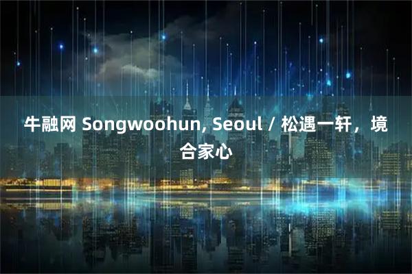 牛融网 Songwoohun, Seoul / 松遇一轩,境合家心